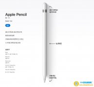 iphone手机支持apple pencil吗